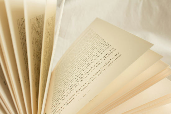 kökler kitap hukuk kitapları
