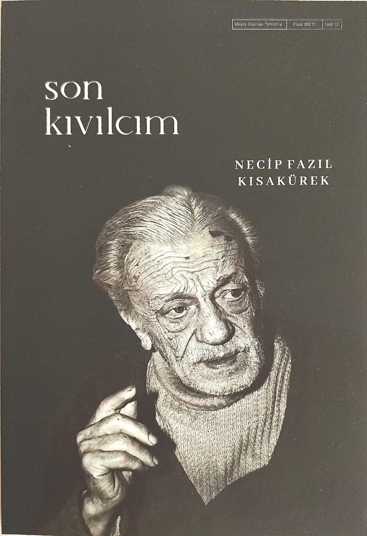 Son Kıvılcım: Necip Fazıl Kısakürek – Sayı 12 kitap kapağı