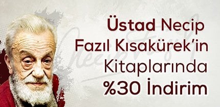 Üstad Kitaplarında %30 İndirim kitap kapağı