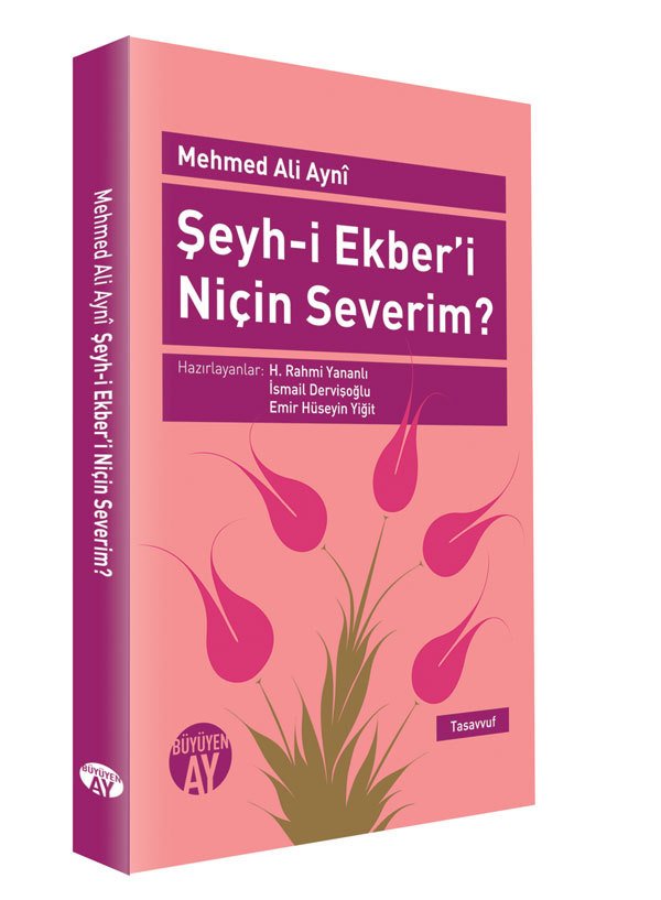 Şeyh-i Ekber'i Niçin Severim? – Mehmed Ali Aynî kitap kapağı