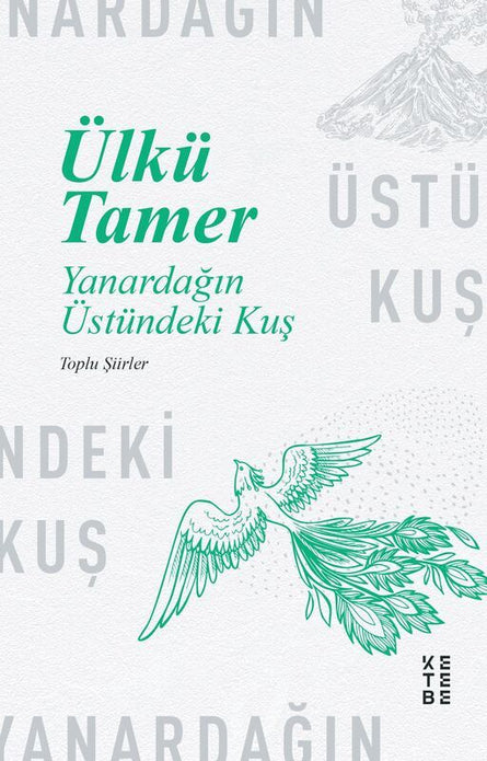 Yanardağın Üstündeki Kuş / Ülkü Tamer